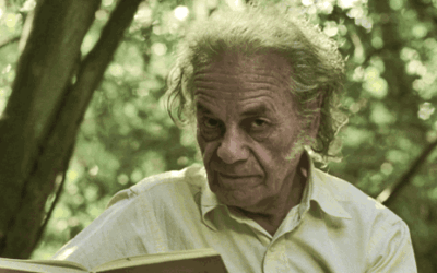 Dispararon en Chile un día: Nicanor Parra y Pato Heim